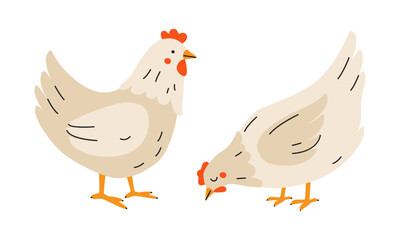 Cute chickens in children's style. Hens in the hand drawn style. Bird Easter Characters. Broiler Chicken farm animals, poultry. Organic Farm. Domestic birds. Eggs products market. Flat vector isolated