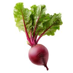 Fresh beetroot with vibrant green leaves displaying its rich color in a simple, clean setting