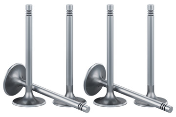 Set of engine intake valves, transparent background