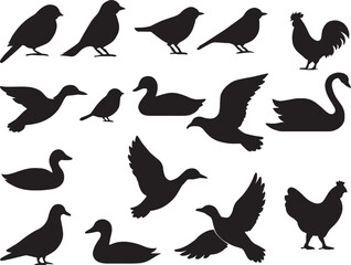 Obraz premium Collection of bird silhouettes
