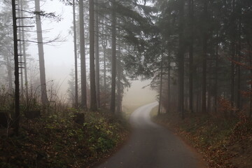 Obraz premium A winding asphalt road cutting through a dense, dark pine forest shrouded in mist. A moody and mysterious autumn scene in the woods, perfect for storytelling