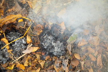 Smoke in the garden. Burning autumn leaves