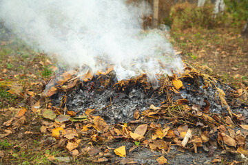 Smoke in the garden. Burning autumn leaves