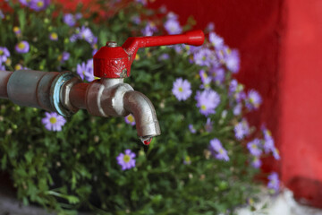 Serene close up of water tap with red handle and single water drop dripping. In lush garden background, vibrant purple flower blooms adding touch of nature