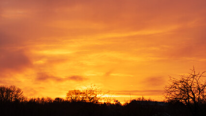 Vivid Golden Sunset Sky Over Silhouetted Trees in Peaceful Nature