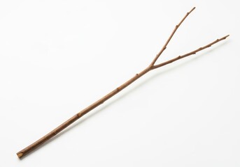 Thin, brown, dry wooden twig with a natural forked end resting on a white background.