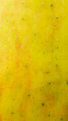 red and yellow apple skin with visible details
