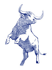 Sketch drawing of a cow, line drawing, jumping, vector illustration