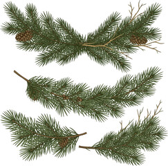 Isolated a kinds of deferent realistic Christmas garland pine branches vector art with white background.