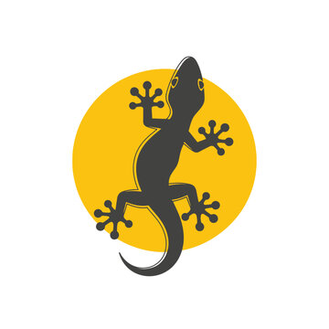 Silhouetted gecko climbing a sunlit sphere symbolising reptile adaptability and nature's allure