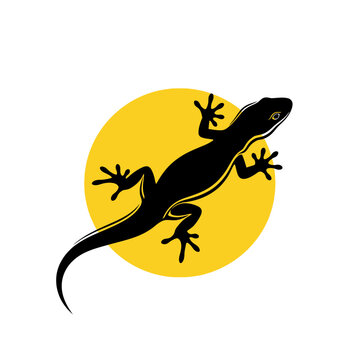 Stylized gecko silhouette against a vibrant yellow circle creating a modern design