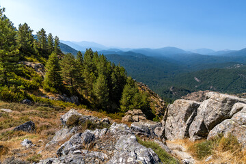Hügel und Wälder auf Korsika