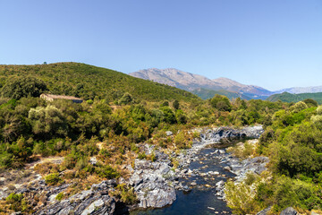 Wildes Flussbett in idyllischer Berglandschaft auf Korsika