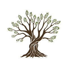 Olive trees with branches and leaves for design of packaging, label, logotype or banner. Natural organic stylized olive icon, premium quality sign. Vector illustration