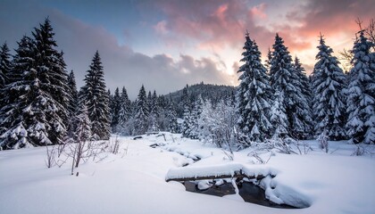 Snow covers trees and ground in a winter scene at sunset near a stream in a forested area