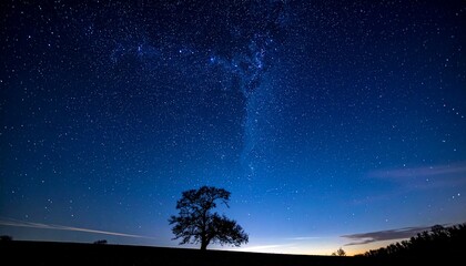Starry night sky over a tree silhouette in the countryside at dusk with bright stars and dark blue sky