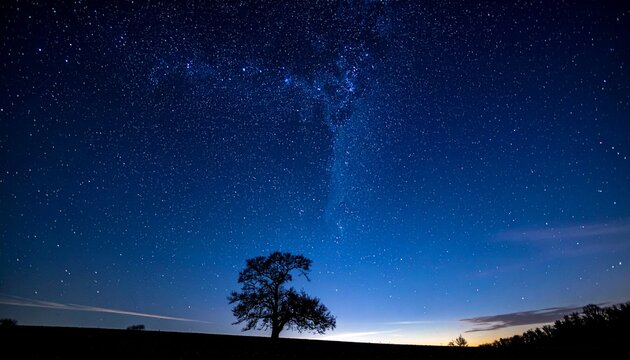 Starry night sky over a tree silhouette in the countryside at dusk with bright stars and dark blue sky - Powered by Adobe