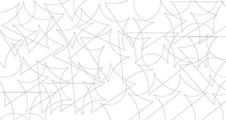 spider web on a white background