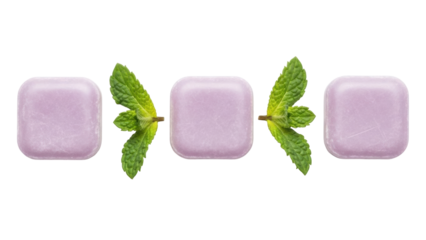 Isolated pastel chewing gum with fresh mint leaves in row on surface, sweets and refreshment
