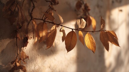Branch with dried golden leaves in warm sunlight on wall. AI generative