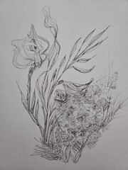 hand drawn flower using black ink pencil on white paper