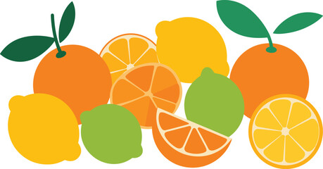 Colorful citrus fruit vector illustration featuring oranges, lemons, limes, slices, wedges, and fresh vibrant citrus arrangements.