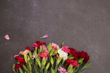 Colorful miniature carnations on a gray surface, top view, flat lay floral composition, copy space,...