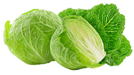 Fototapeta premium Fresh vibrant savoy cabbage vegetable whole and halved with textured leaves
