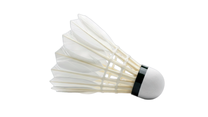 Shuttlecock Isolated on White Background