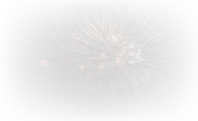 Brilliant Fireworks Explosion in the Dark PNG