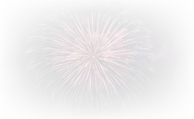 Brilliant Fireworks Explosion in the Dark PNG