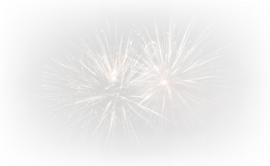 Festive Nighttime Fireworks Show PNG