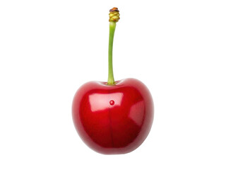 Isolated shiny cherry fruit on a simple stem with a few dried leaves at the end of the stem