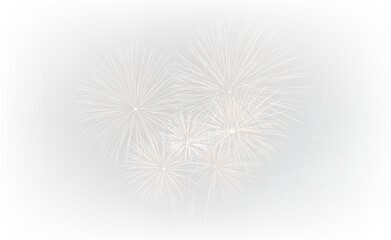 Fototapeta premium Glowing Festival Fireworks Over Black Sky PNG