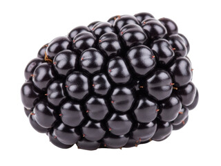 Isolated close-up of blackberry fruit, ripe and fresh, natural food source, summer berry snack