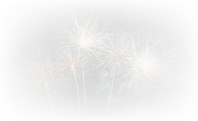 Fototapeta premium Vibrant Fireworks Illumination PNG