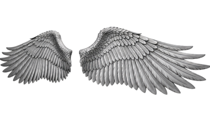 Silver Wings Isolated on White