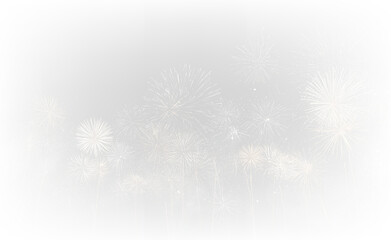 Vibrant Fireworks Illumination PNG