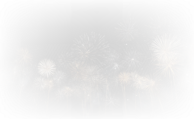 Vibrant Fireworks Illumination PNG