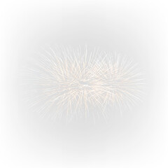 Fototapeta premium Night Fireworks Celebration PNG
