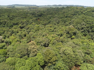 Mata Atl&acirc;ntica