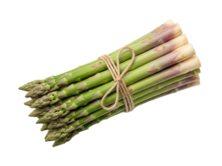 Isolated bundle of fresh green asparagus tied with twine ready for cooking or market display