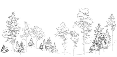Contours of forest, different trees. Vector illustration