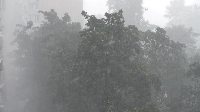 Slow Motion. Bad weather, storm. Heavy rain and wind in city. Wind shakes trees