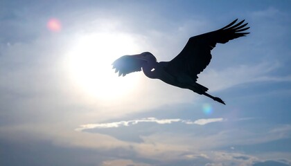Silhouette of a bird flying against the sun.