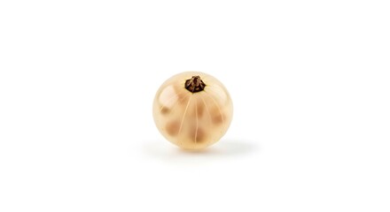 Single Fresh White Gooseberry on White Background