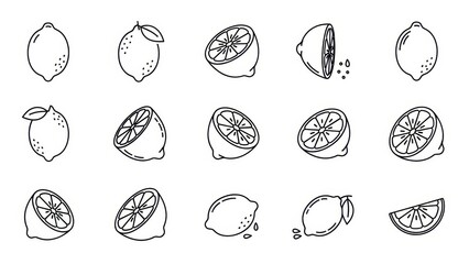 Hand drawn lemons illustrations isolated on white background, perfect for your designs