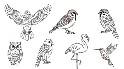 Naklejka premium Diverse line art illustration displaying a variety of birds in simple and elegant styles