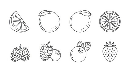 Minimalistic outline fruit assortment featuring citrus, raspberries, blueberries, strawberry
