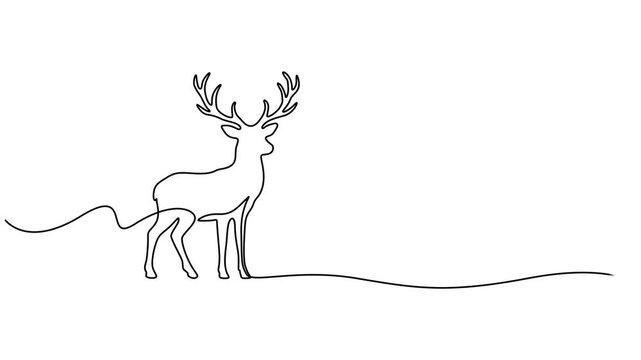 Self Drawing Animation of a Deer | Single Continuous One Line Hand-Drawn Art, Reindeer continuous one line drawing, single line art deer animal element, minimalist sketch line vector illustration